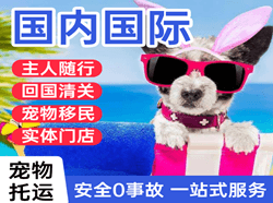 长春机场托运国际宠物托运 【国